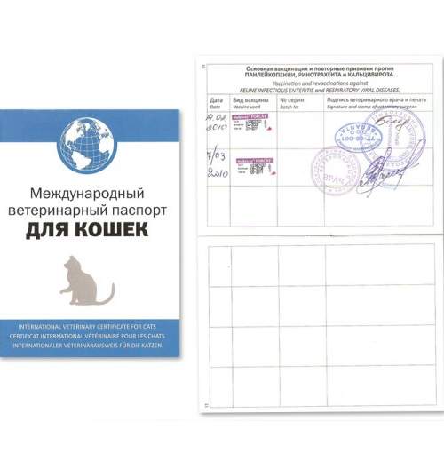 Ветеринарный паспорт "Для кошки"
