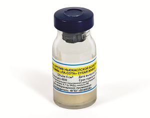 Вакцина АВИВАК НБ+ИБК (шт. "Ла-Сота" "Н-120") живая сухая (4000 доз/фл).