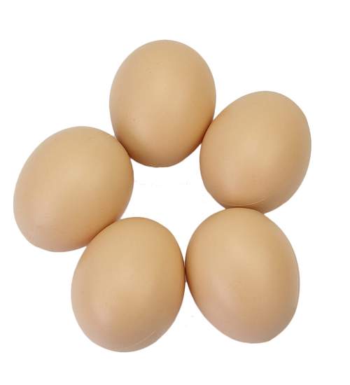 Яйцо подкладное куриное (муляж)